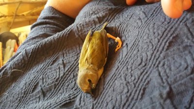 20160211_155020.jpg