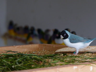 P1050844.JPG