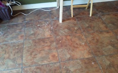 20160212_091251.jpg
