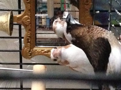 Tom and Gerti last February