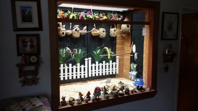 Older pic of our aviary