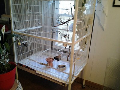 20160220_163755.jpg