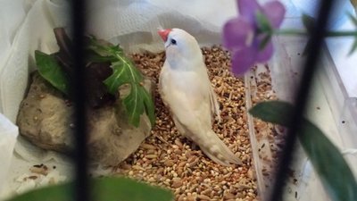 20160223_173316.jpg