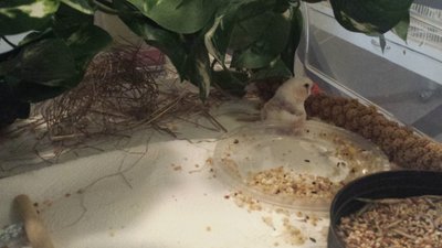 20160226_162614.jpg