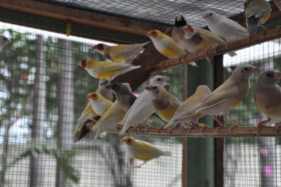 DSC_0008.JPG