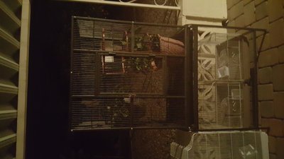 20160301_222552.jpg