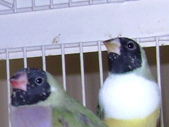 DSC02572.JPG
