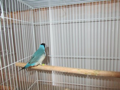 IMG_0050.jpg