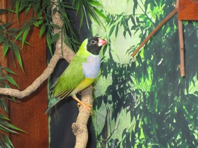 IMG_0046.jpg