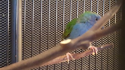 20160225_172108[1].jpg