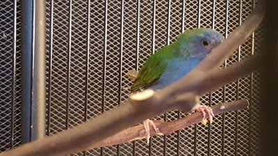 20160225_172109[1].jpg