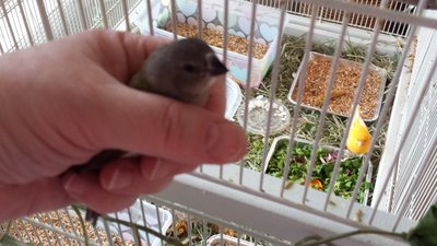 20160308_135837.jpg