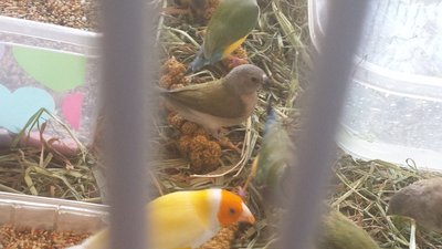 20160308_134334.jpg
