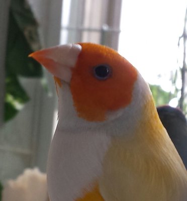20160312_122354-2.jpg