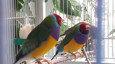 20160312_122424.jpg