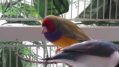 20160312_122814.jpg