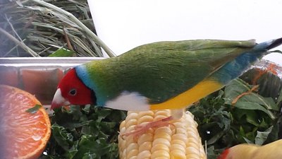 20160312_131628.jpg