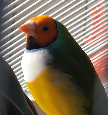 20160312_133137-2.jpg