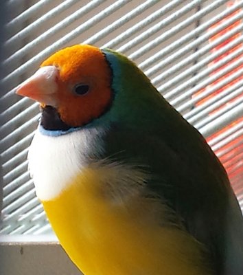 20160312_133146-1.jpg