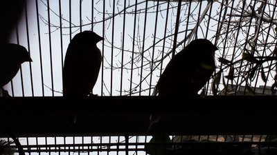 20160312_130424.jpg