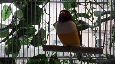 20160312_124635.jpg