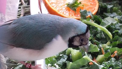 20160312_123208.jpg