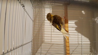 20160323_191239.jpg