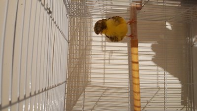 20160323_191240.jpg