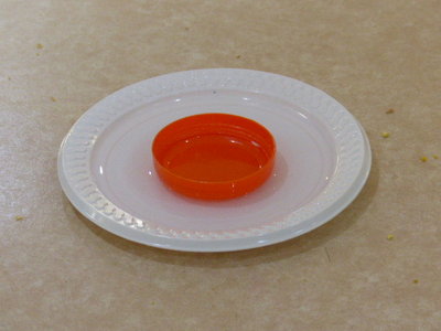 P1090400.JPG