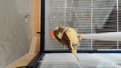 20160131_124203.jpg