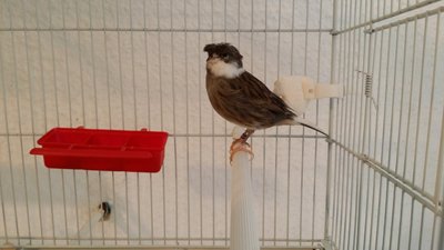 20150928_164502(0).jpg