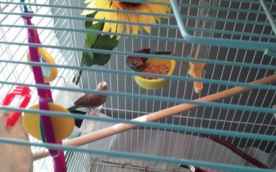 20160325_143359_Burst01.jpg