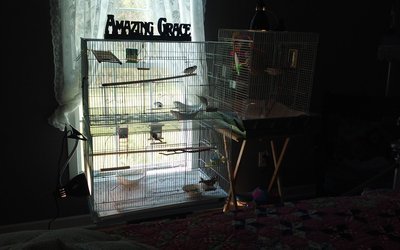 20160325_134345.jpg