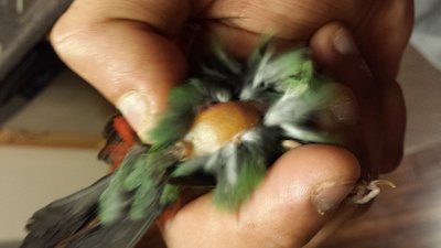 20160326_011157.jpg