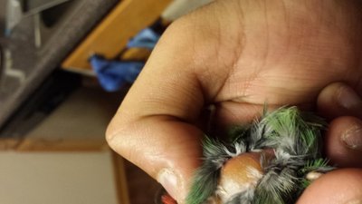 20160326_011145.jpg