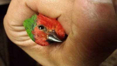 20160326_010926.jpg