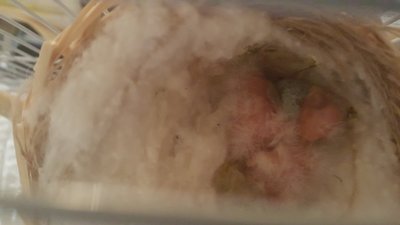 20160326_192626.jpg
