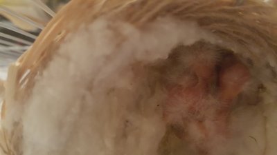 20160326_192648.jpg