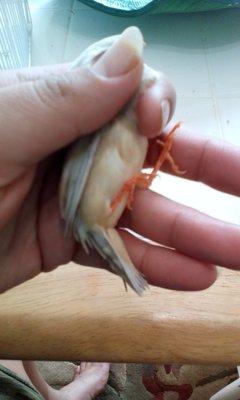 IMG_20160328_101333.jpg
