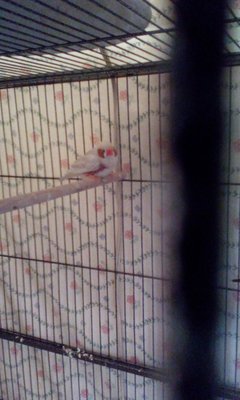 IMG_20151227_133624.jpg