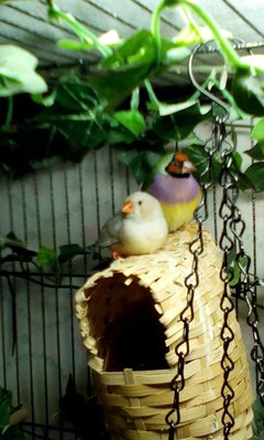 IMG_20160329_093239.jpg
