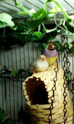 IMG_20160329_093241.jpg