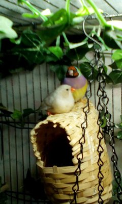 IMG_20160329_093237.jpg