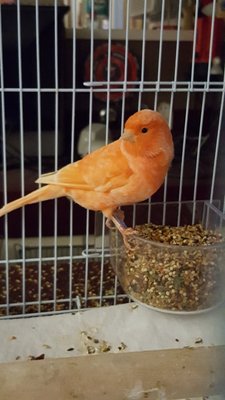 20160328_195857.jpg