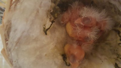 20160329_194444.jpg