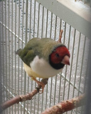 20160330_115903-1.jpg