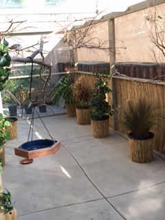 east side of aviary