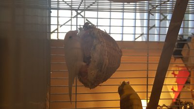 20160403_155839.jpg