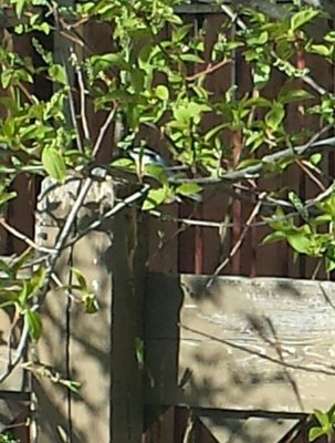 20160410_094555-1.jpg