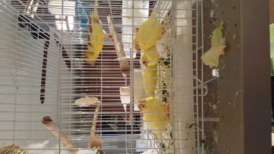 20160410_123557.jpg